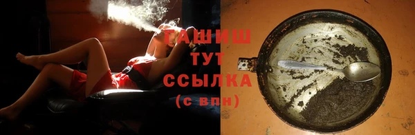 индика Струнино