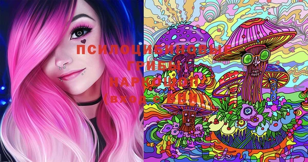 индика Струнино