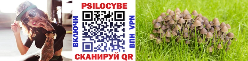 Купить  Чаплыгин  Галлюциногенные грибы Psilocybe 